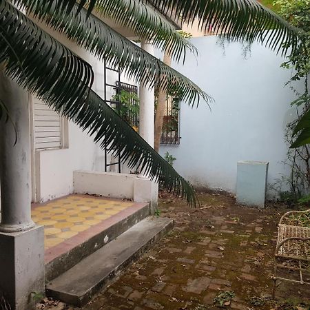 Devon Estate Διαμέρισμα Κίνγκστον Εξωτερικό φωτογραφία