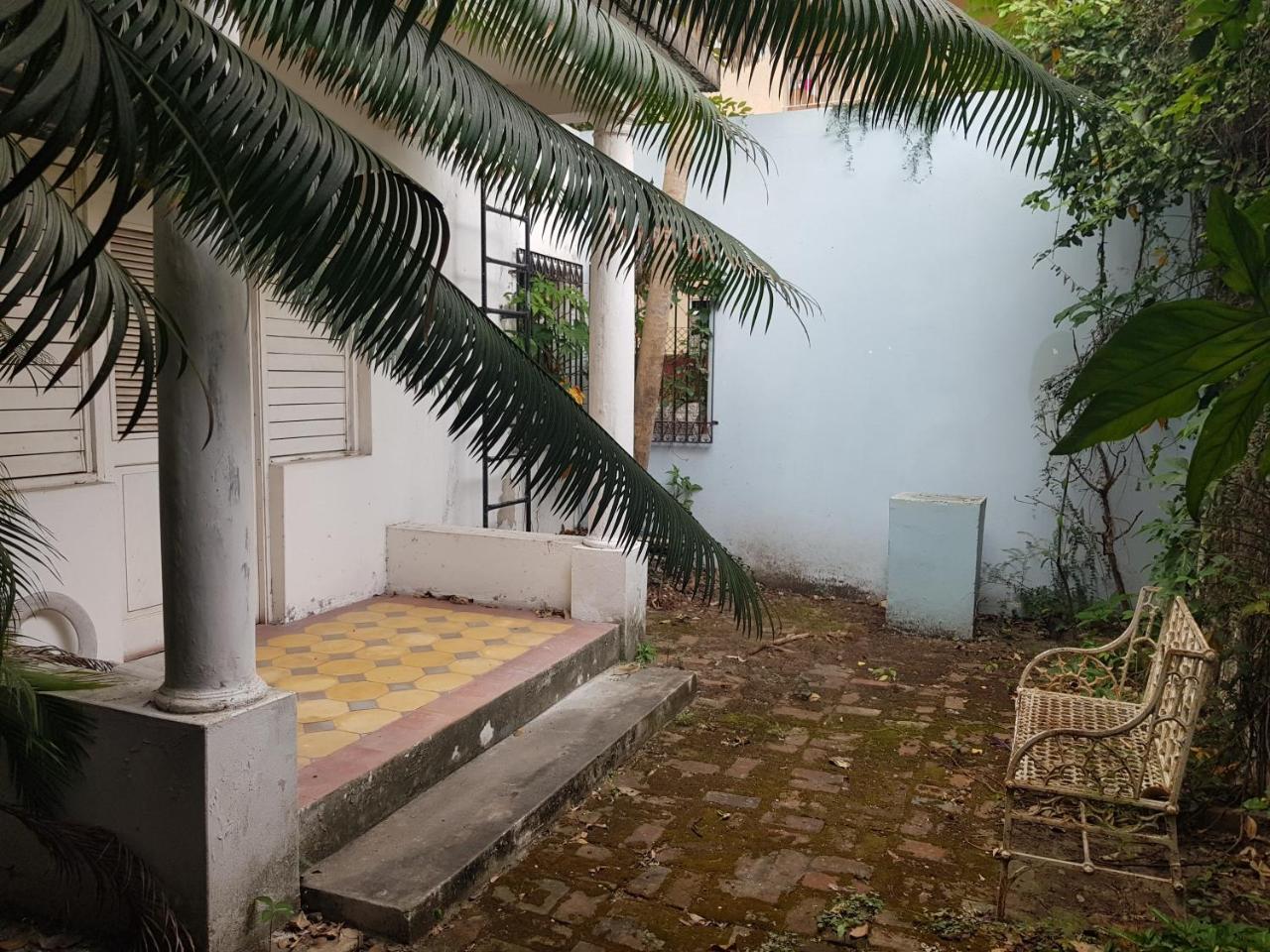 Devon Estate Διαμέρισμα Κίνγκστον Εξωτερικό φωτογραφία