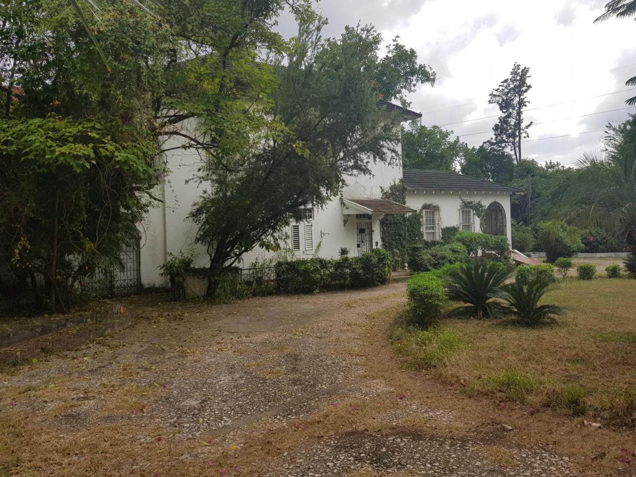 Devon Estate Διαμέρισμα Κίνγκστον Εξωτερικό φωτογραφία