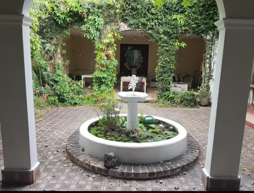 Devon Estate Διαμέρισμα Κίνγκστον Εξωτερικό φωτογραφία
